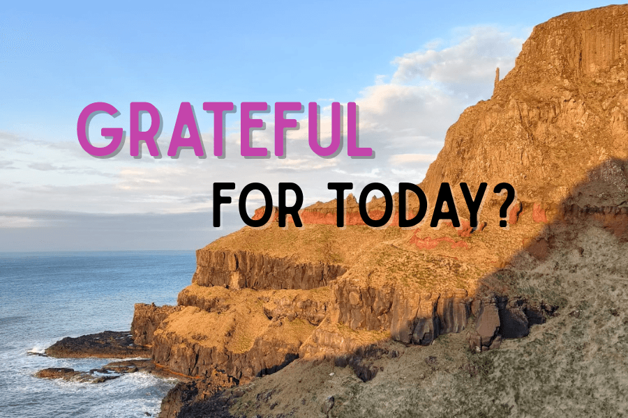 What Are You Grateful for Today?