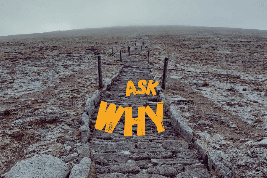 Ask Why Am I Doing This